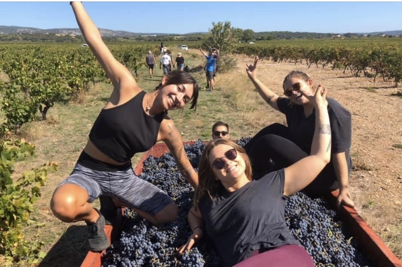 caveau vin montpeyroux gîte aigues vives 8